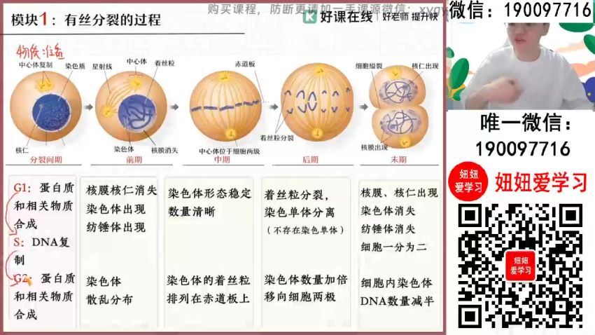 作业帮：【2024寒】高一生物 邓康尧 A+ 百度网盘分享