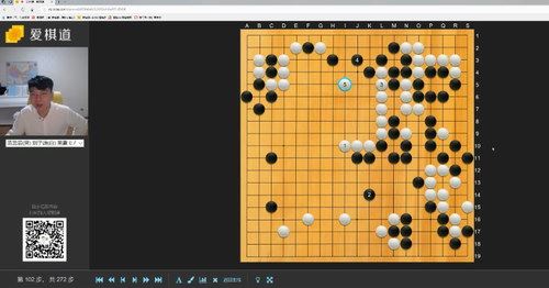 2700分钟爱棋道围棋教学视频（打包17G）百度网盘